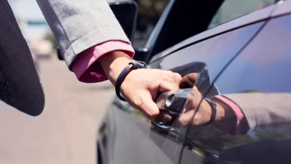 Bodrum Dalaman VIP Transfer, Bodrum Dalaman Özel Araç Transferi, Bodrum Dalaman Özel Transfer, Bodrum Dalaman Transfer Hizmeti, Bodrum Dalaman VIP Araç Transferi